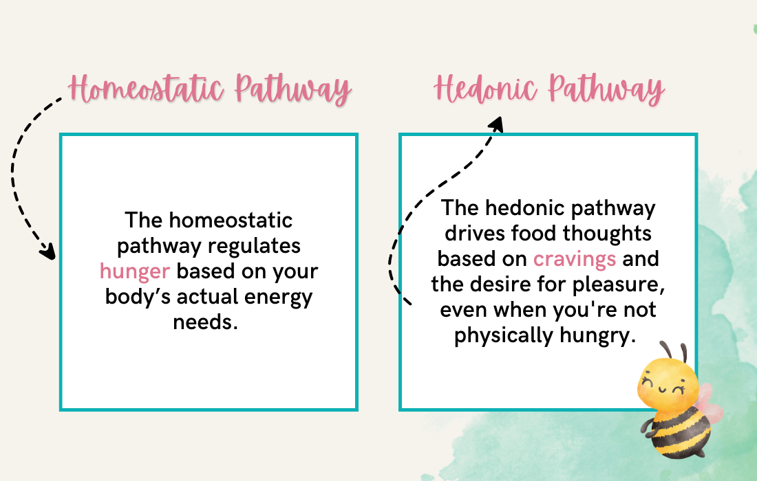 Homeostatic Pathway and Hedonic Pathway